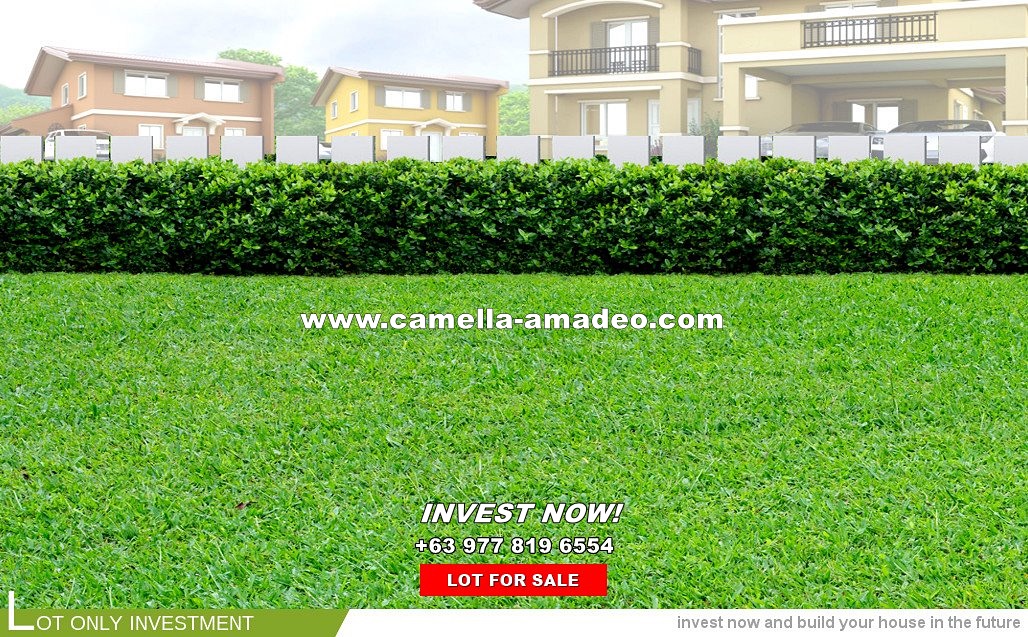 Lot House for Sale in Amadeo
